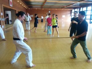 Miyakawa hanshi demonstrating center of mass transmission with seminar participant using a rokushakubo.